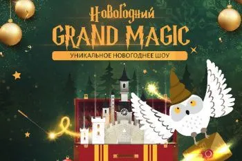 Новогодняя елка 2026 в Министерстве Магии