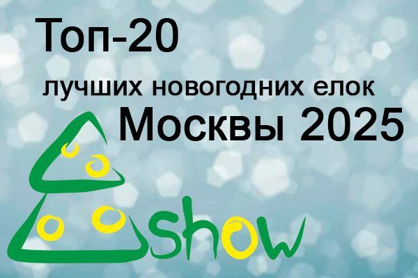 Топ-20 новогодних шоу 2025 в Москве